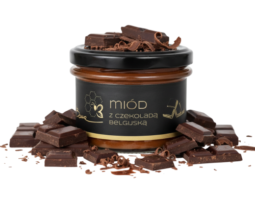 Gemini_czekolada v2-Photoroom.png