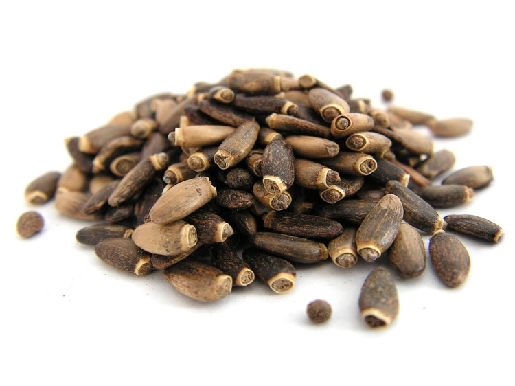 6cbbebed1f7d21b8bdba5e5bc8c37b9c (1).jpg