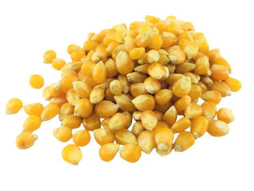 Bez nazwy (509 x 849 px) (1600 x 1200 px) (10).png