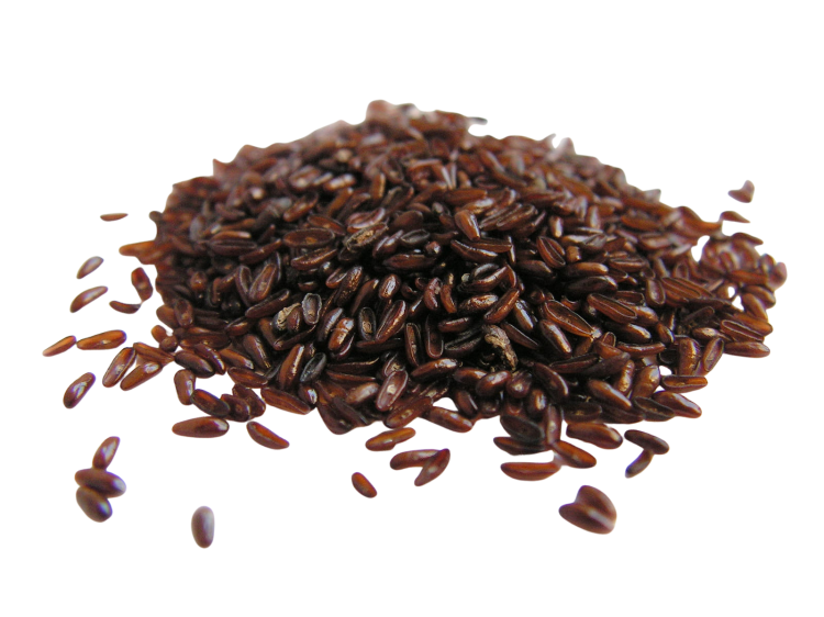 Bez nazwy (509 x 849 px) (1600 x 1200 px) (12).png