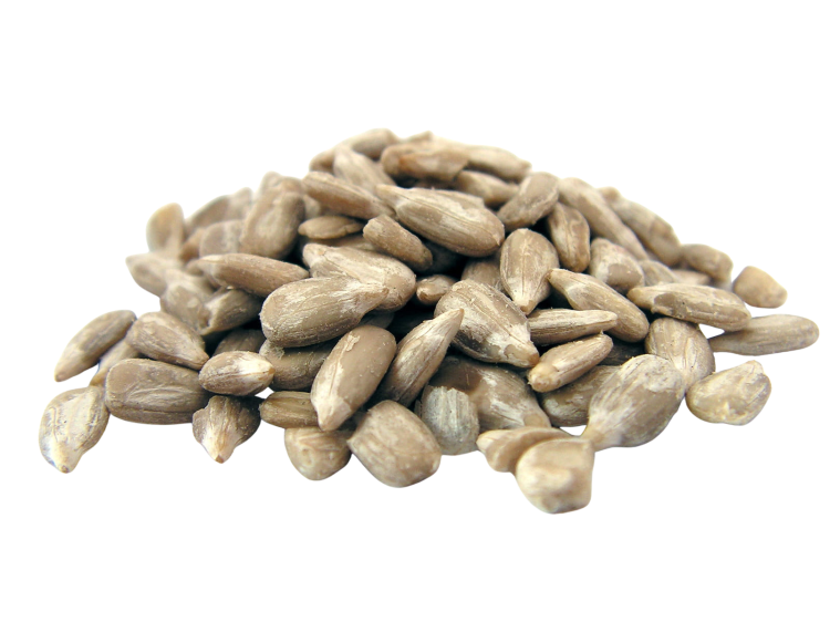 Bez nazwy (509 x 849 px) (1600 x 1200 px) (38).png